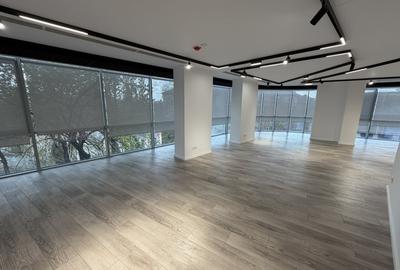 Birou, de 136 mp, în Pache Protopopescu - 2