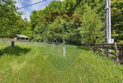 Comision 0%! Proprietate in natura, priveliste superba, S... - 1