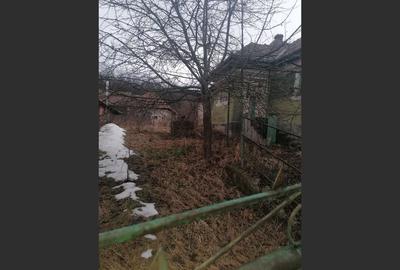 Casă cu 3 camere cu Teren 3040 Mp în Ceanu Mic - 4