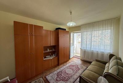 Apartament cu 2 camere semidecomandat în Gojdu - 7