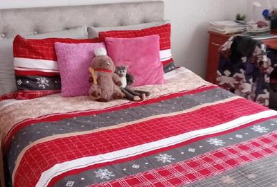 Apartament cu 2 camere semidecomandat în UTA - 5