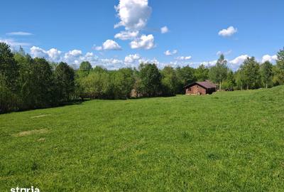 Teren de 5967 mp, în Bran - 3