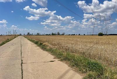 Vand terenuri in zona Frumusani / Buciumeni / Budesti jud. Calarasi - 2