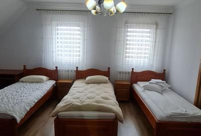Casă cu 4 camere cu Teren 700 Mp în Satu Mare - 3