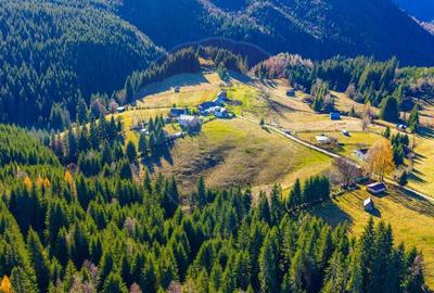 Teren Construcții intravilan de 13800 mp, în Fundățica - 10