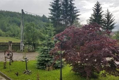 Pensiune 25 camere - In Bucovina! Pensiune 25 camere - In Bucovina! - 9