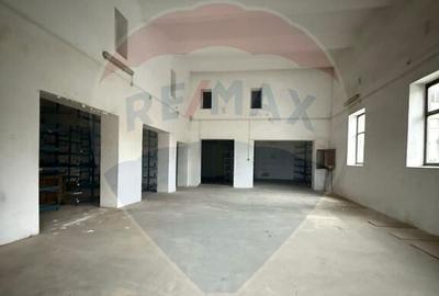 Hala - zona KAUFLAND Burdujeni - 9