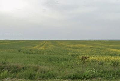 Spațiu comercial, în Gorneni - 4