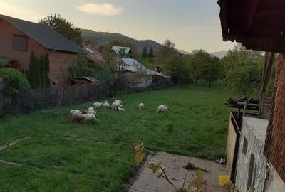 Teren de 1500 mp, în Central