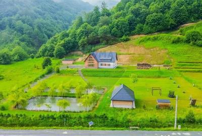 Casă cu 7 camere cu Teren 6370 Mp în Groși - 5