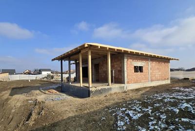 Casa 3 camere, pivnita si terasa, Lilieci - 2
