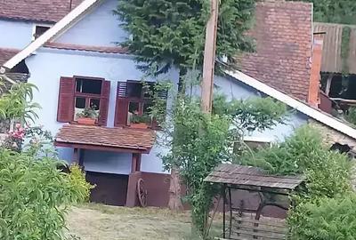 Casă cu 3 camere în Pianu - 1