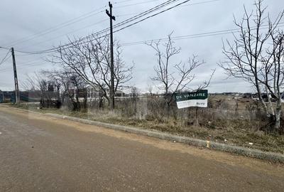 Teren Construcții intravilan de 3600 mp, în Cârcea - 1