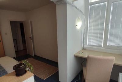 Apartament 3 camere Aviatiei de inchiriat cat friendly - 7