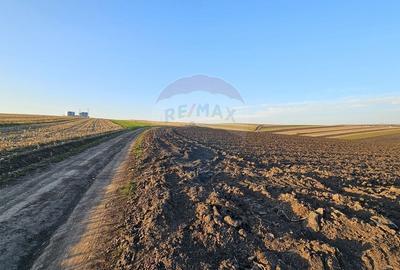 Teren agricol extravilan de 30077 mp, în Stroiești - 7