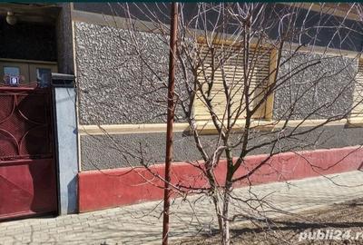Casă cu 4 camere în Chișineu-Criș - 6
