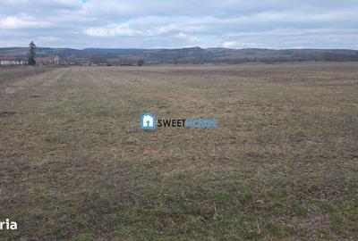 Teren de 20200 mp, în Central - 2