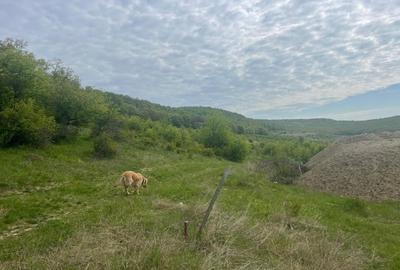 Teren Construcții intravilan de 1000 mp, în Corunca - 8