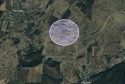 Teren in Padureni - Chinteni, 5800 mp, intravilan, Lv1 - viitoare constructii - 4
