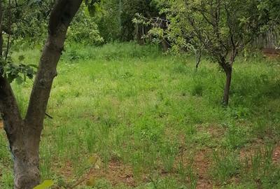 Casă cu 4 camere cu Teren 2000 Mp în Bugeac - 6