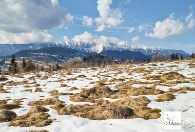 Teren De Vanzare In Sirnea - 2
