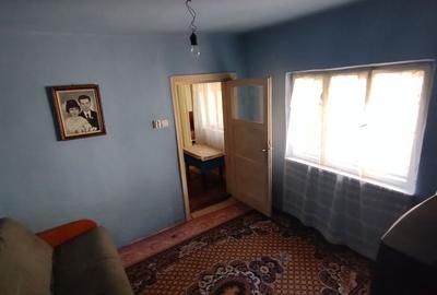 Teren pentru casă verde langa promenada din Ovidiu - 11