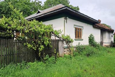 Casă individuală cu 3 camere cu Canalizare în Polovragi - 6