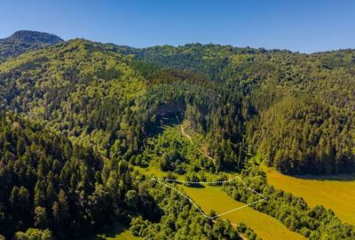 Teren Construcții intravilan de 7300 mp, în Brădet - 4