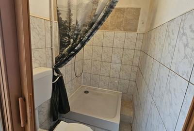 Garsonieră decomandată în Buziașului - 4