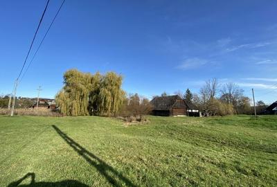 Spațiu comercial, în Voitinel - 1