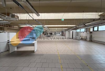 Birou, de 1,500 mp, în Iris - 7