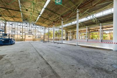 Spatiu depozitare zona Pantelimon Obor - 5