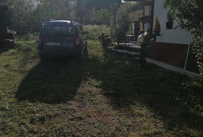 Casă cu 3 camere cu Teren 900 Mp în Sânmihaiu Almașului - 6