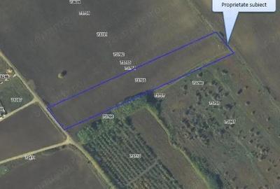 Teren Balteni, cota parte 1/4, ID: R2695268 - 2