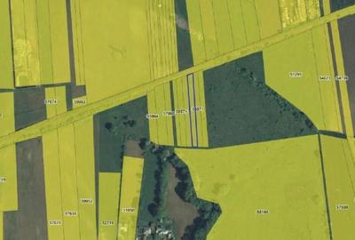 Targu Neamt, Punct Manesti, cota parte 1/2, ID: R2759107 - 6