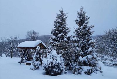 Casă în Sibiel - 6