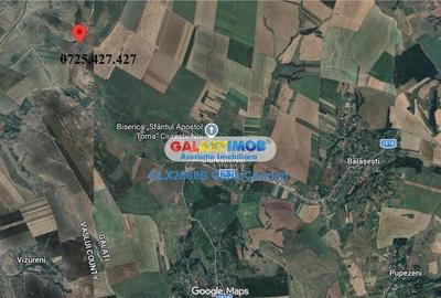 Teren extravilan de 25000 mp, în Nord - 2