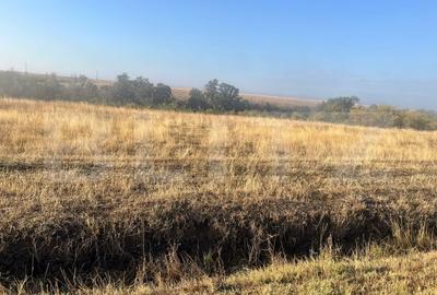 Teren Construcții intravilan de 2500 mp, în Bucovăț - 1