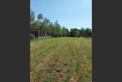 Teren 1942 mp, Baicoi, €32.500 - 5