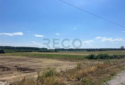 RECO Teren intravilan pentru casa- Les cu PUZ aprobat - 6