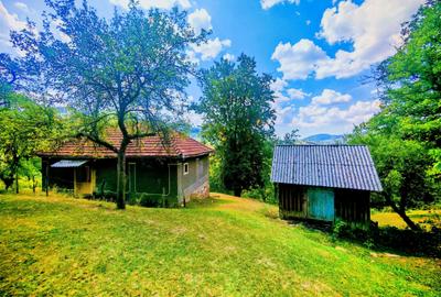 CASA TRADITIONALA, ANEXE si 46.980 mp teren partial INTRAVILAN BULZ - BIHOR - 7