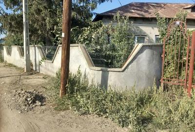 Casă cu 2 camere cu Teren 1600 Mp în Central - 3