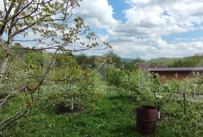 Casa+ casa vacanta, 2200 mp livada, Schitu-Duca - 5