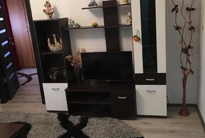 Apartament cu 2 camere semidecomandat în Valea Rosie - 4