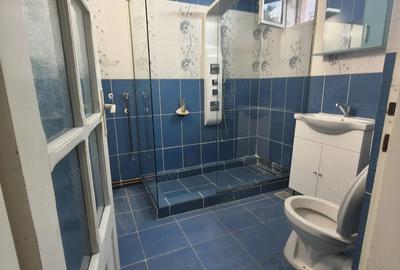 Casa individuala Nemobilat - 9