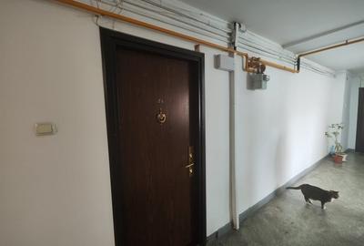 Apartament cu 2 camere decomandat în Costin Georgian - 15