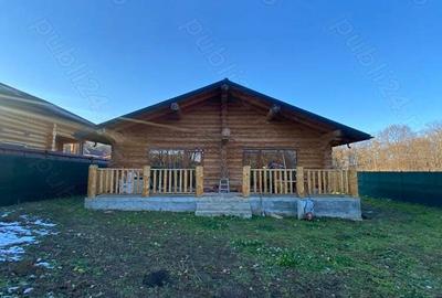 Cabana din lemn in zona padure - 1