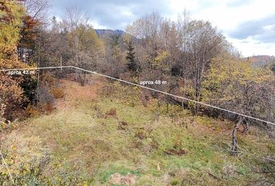 Comision 0%, 2000 teren intravilan, Timisu de Sus Brasov - 2