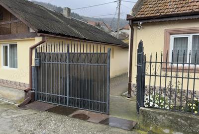 Vand casa in Moldova Noua - 1