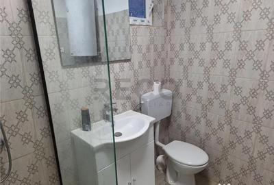 Casă cu 4 camere cu Teren 11000 Mp în Uileacu de Beiuș - 2